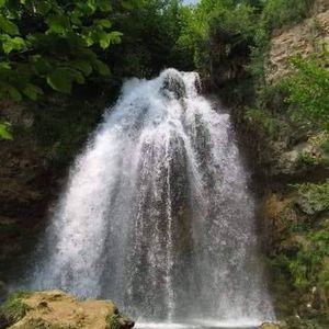 Meet your Posher, Sue